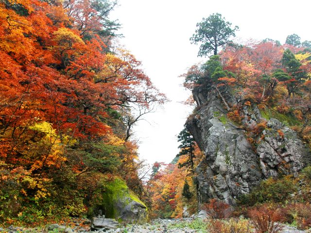 ����̌����ȍg�t_�΂̉͌�