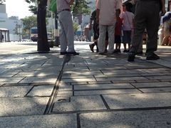 C̕ʕ{ĂĂHׂ邫E܂邫ւ̓eʐ^1