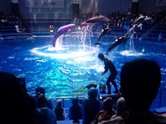 񂳂̃}NZ ANAp[Niւ̓eʐ^1