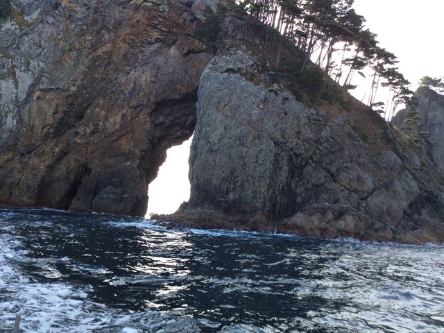 ���̌��Ԃ�D�Œʂ蔲���Ă����܂�_�ԉ��G�R�c�[���Y��