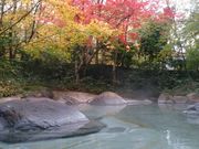 sakky̓V珼@TԂ̓eʐ^1