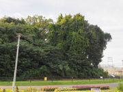 sklfh֖̋ԒˌÕ̓eʐ^1