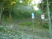 �X�̃N�}����̍Ґ��т̓��e�ʐ^1