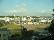 �X�̃N�}����̍Ґ��т̓��e�ʐ^2