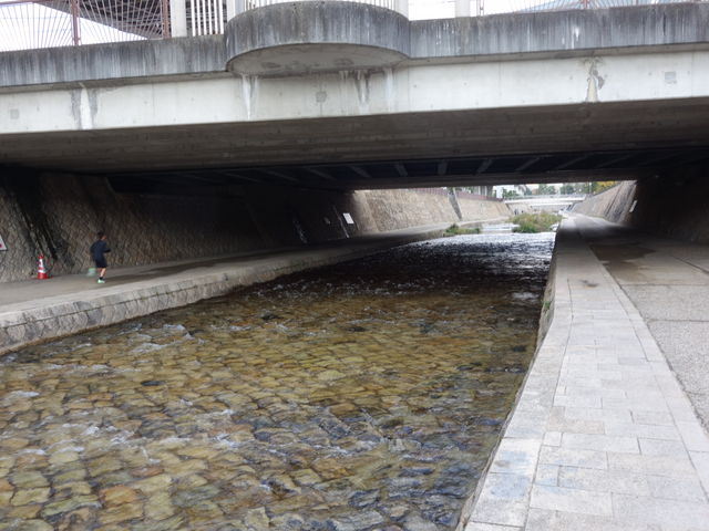 _w𒴂Aɓ쉺BWMOĂNʉ߂čs܂B_Zg쐴̓