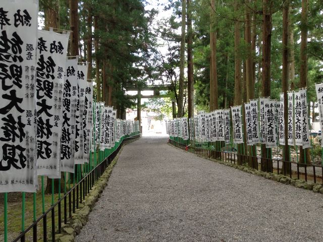 �F��ߒq���_�F��ߒq���