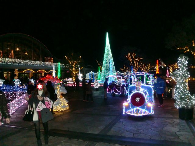 �t���[�����e�{��