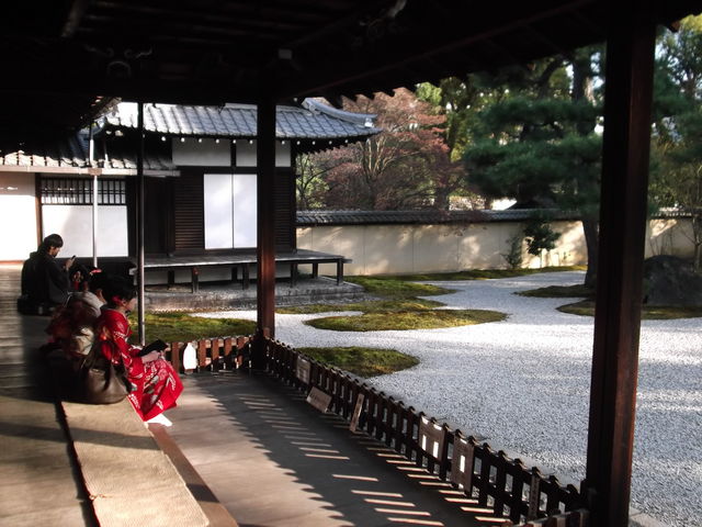 �b�R���A�����̒�_�I�R��