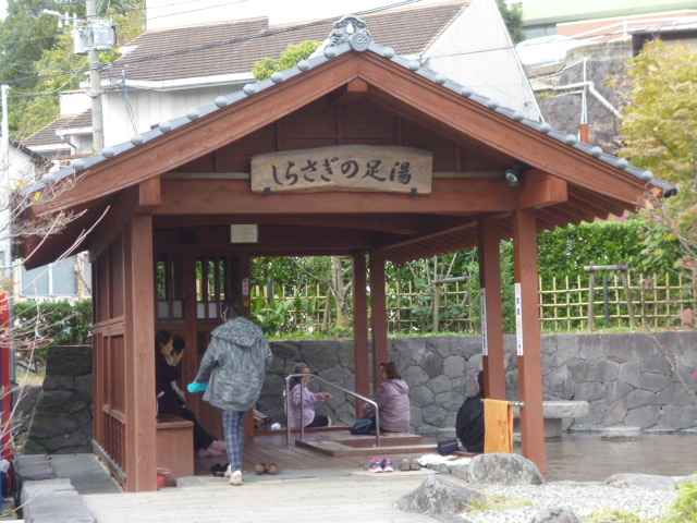 �����͈ӊO�ƍ��G���Ă���_�ʖ�����