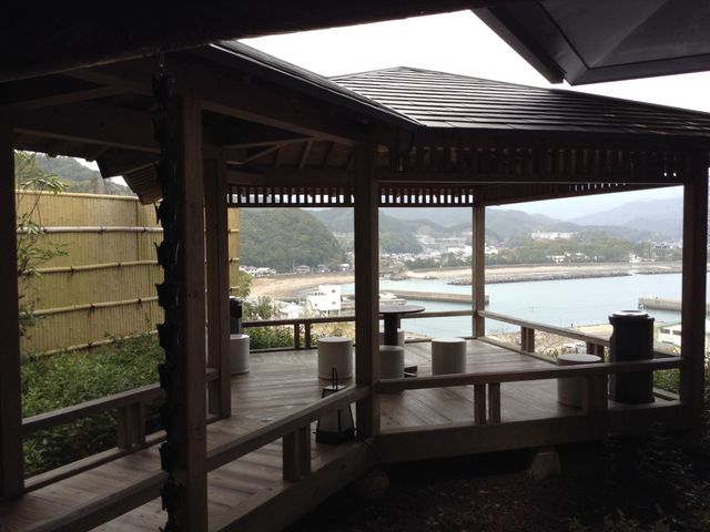 �����{�w
���m�������S���y�����v��8009-11_�����{�w