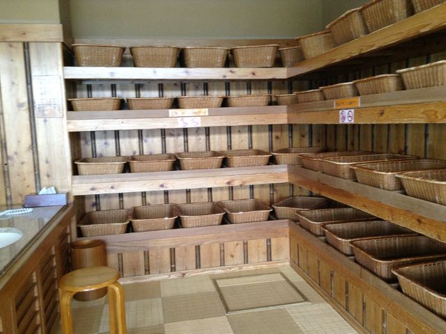 �����{�w
���m�������S���y�����v��8009-11_�����{�w