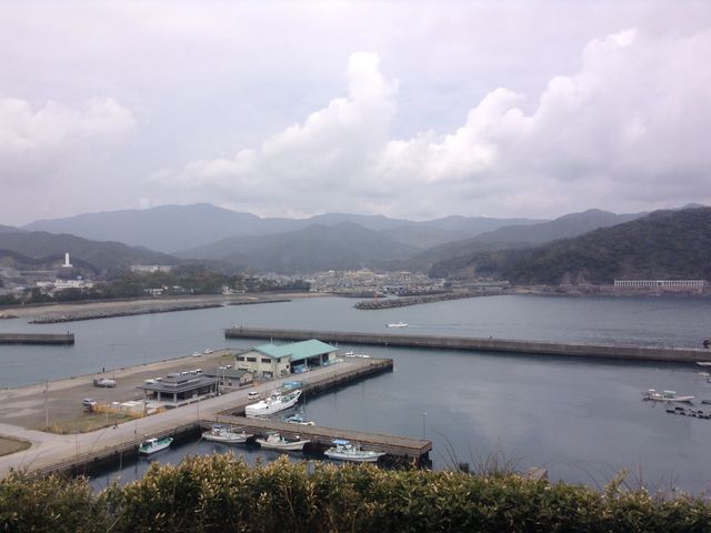 �����{�w
���m�������S���y�����v��8009-11_�����{�w