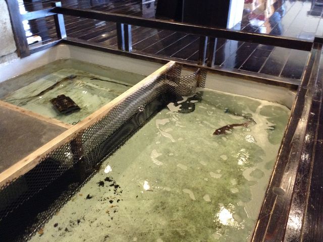 �����{�w
���m�������S���y�����v��8009-11_�����{�w