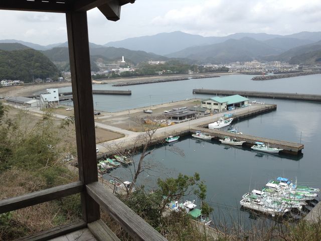 �����{�w
���m�������S���y�����v��8009-11_�����{�w