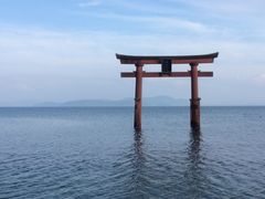 GD[S̔颐_Ђւ̓eʐ^1