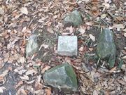 Sakamoto119̋ߋERuREMMR߂݂v̓eʐ^10