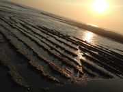 䂤䂤̐TN}[̓eʐ^2