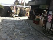 Sakamoto119̈Ó̓eʐ^7