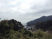 Sakamoto119̍{w̓eʐ^6