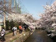 Sakamoto119̋ʋ̓eʐ^14