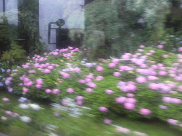 �����o�R�d�ԉ����̃A�W�T�C