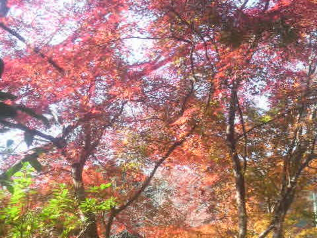 ���V������t