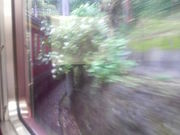 Ƃ񂳂̔oRdԉ̃AWTC̓eʐ^2