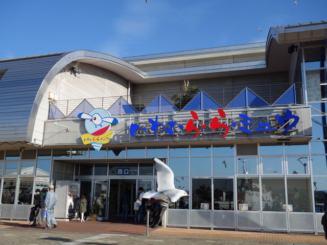 �����i�C���j_���킫�E��E��E�~���E