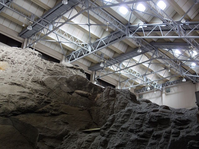 @̂܂ܕ߂_킫sAiCgZ^[