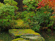 �ɂڂ�����̎����@��Ղ̓��e�ʐ^2