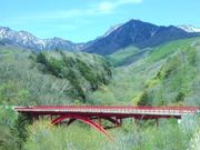 �z�b�Ƃ���񂳂�̐얓��k�J�̓��e�ʐ^1