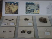 maaaya19̂킫sC̗Z^[̓eʐ^4