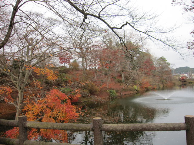 񂳂̒IqՂ̍gt̓eʐ^4