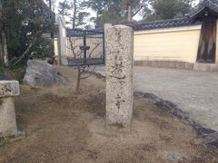 Sakamoto119さんの道明寺の投稿写真3