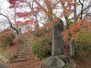 񂳂̒IqՂ̍gt̓eʐ^1