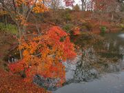 񂳂̒IqՂ̍gt̓eʐ^3