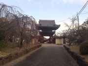 Sakamoto119̓̓eʐ^2