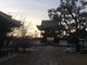Sakamoto119さんの道明寺の投稿写真13