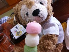 a����̐V�q���ւ̓��e�ʐ^1