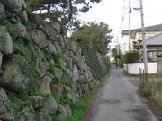 񂿂񂳂̐Ί_̎U̓eʐ^1