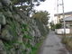 うさちゃんちゃんさんの石垣の散歩道の投稿写真1