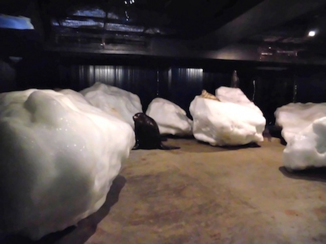 ���X��G��闬�X�̌���_�I�z�[�c�N���X��