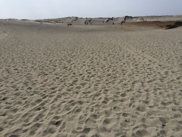 �ǂ��܂ł� �L�� ���� �����܂ł���܂���ł����B_���c�����u