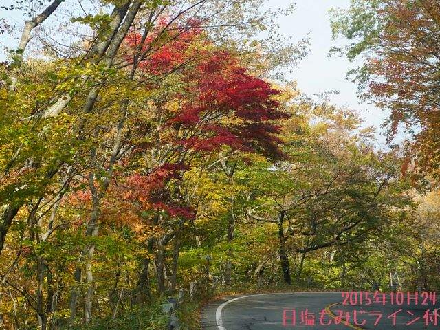 ���݂����C���~��Ă���̎ʐ^�ł�_�������݂����C��