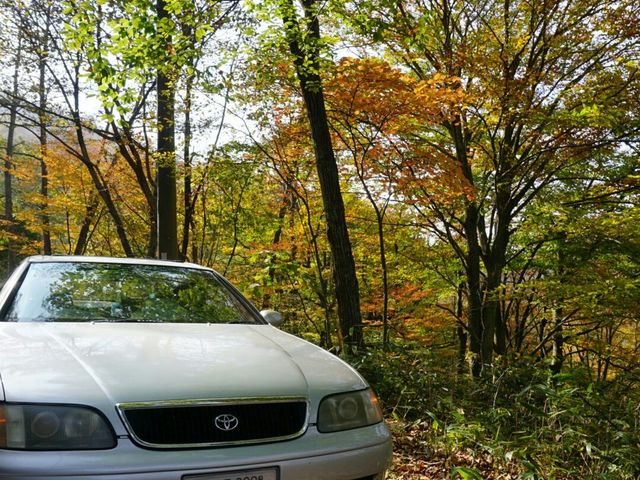 �g�t�A�����A�����������ȁH_�������݂����C��