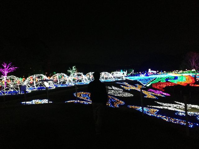 �ꏊ�ɂ���ăC���~�l�[�V�����̏������Ă�悤�Ȋ��o�ɂ��Ă����Ƃ��������܂����I_�����h�C�c��