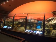 ɂ̐EW ANAggӂւ̓eʐ^1