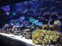 ɂ̐EW ANAggӂւ̓eʐ^2