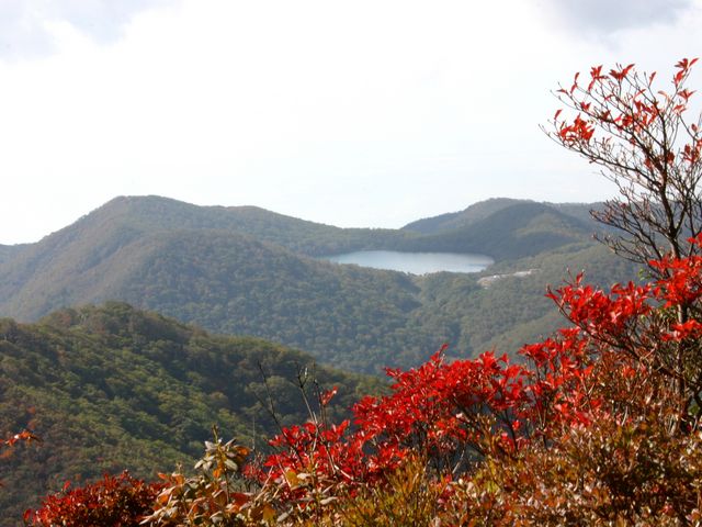 Ƃ񂳂̐ԏR̍gt̓eʐ^1