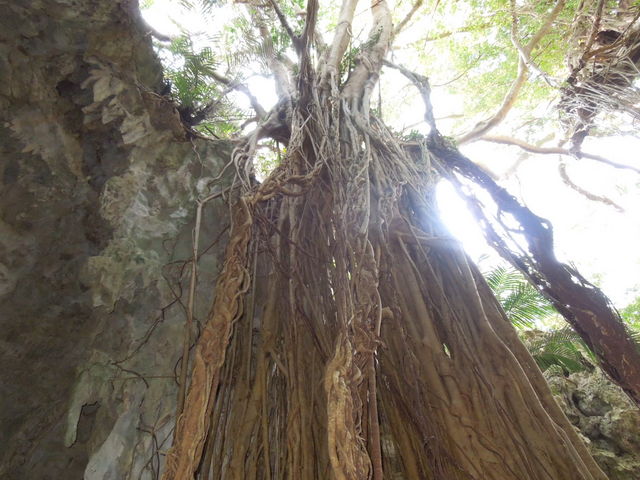 �K���K���[_�K���K���[�̒J